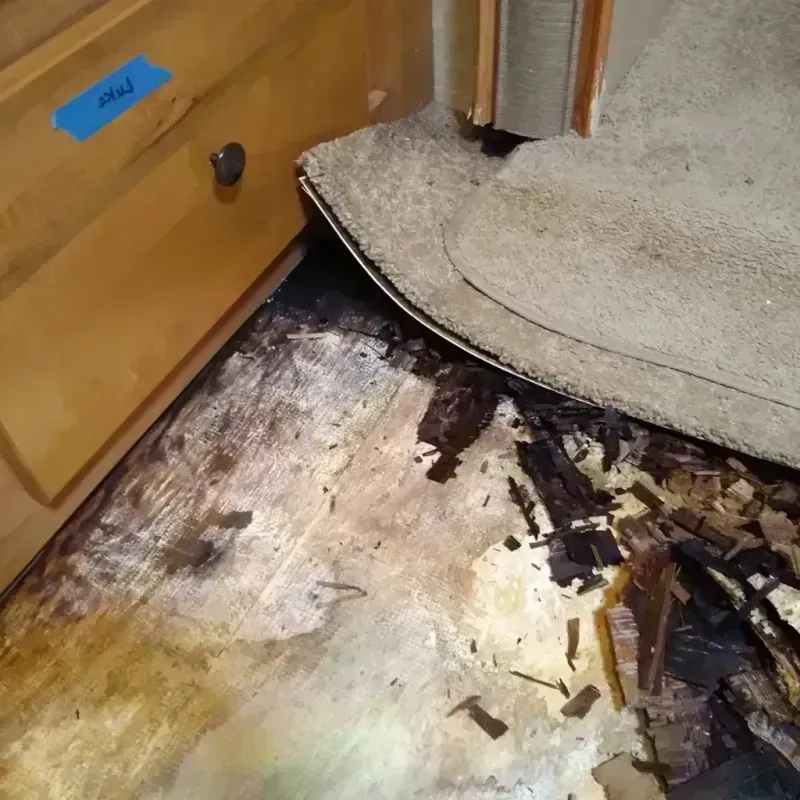 Wood Floor Water Damage in Snellville, GA